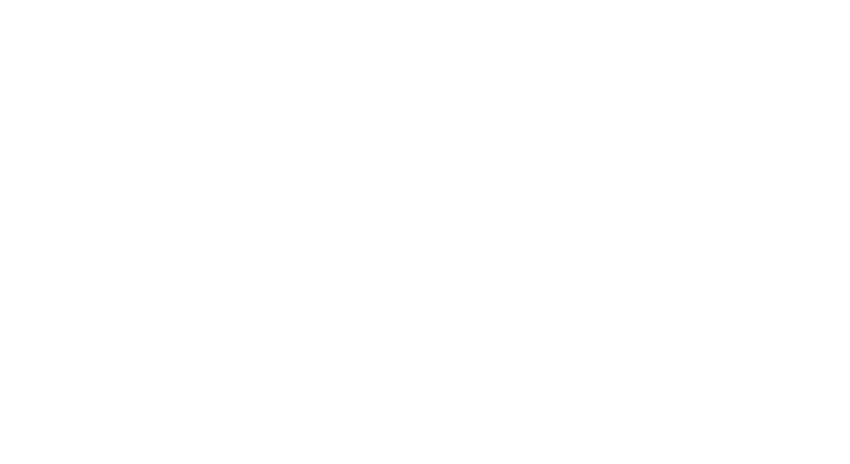 המסיע נסימי בע״מ — שירותי תחבורה מתקדמים